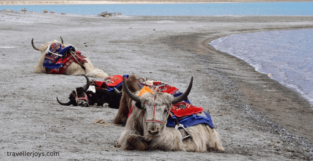 Leh-Ladakh, Jammu and Kashmir