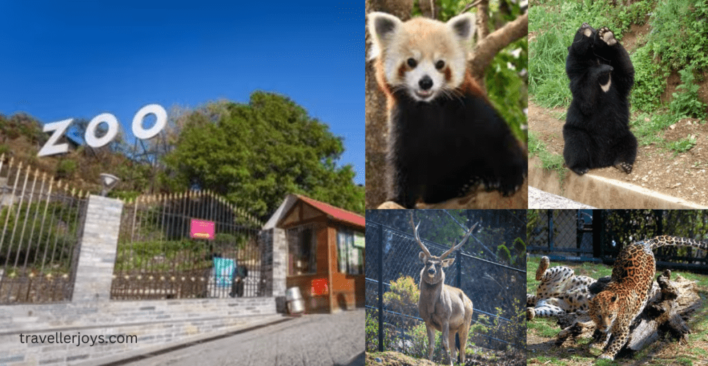 Nainital Zoo