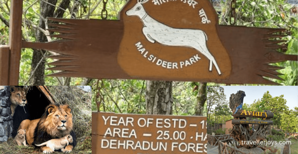 Malsi Deer Park is the best Dehradun tourist destination