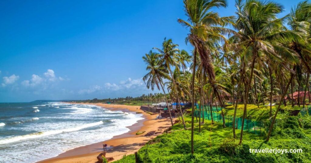 Goa is one of the Best Places to Visit in winter in India