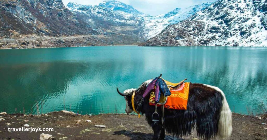 Sikkim is also one of the best Places to Visit in winter in India